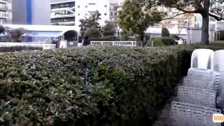 超级计划【91蜜桃】 各式换装制服无套啪啪